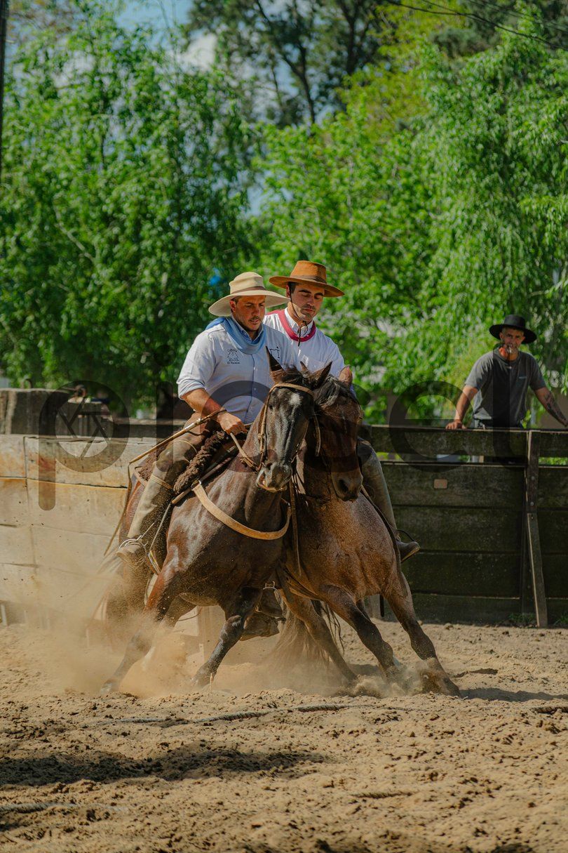 Photo of fohjydwy1pf59r0fg7uipzqh