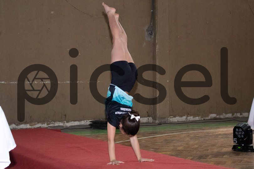 Photo of mn7xk09le5b04aqripp7ljyp