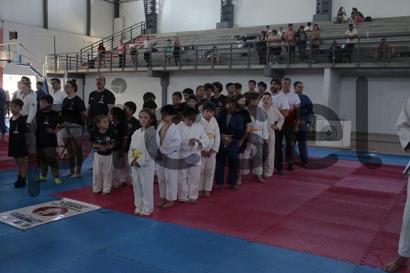 Photo of l16wg1chxia5s1sm3x9mg2pf