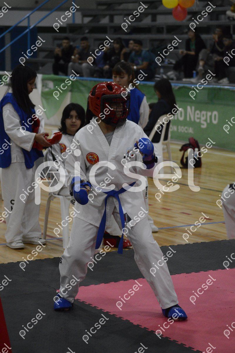 Photo of hs0df9jxsiael29dkvjrz0pr