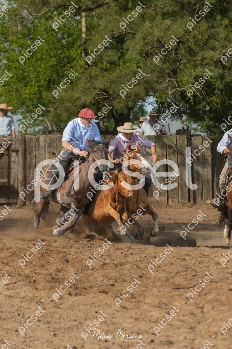 Photo of j9t2ga59r0xvzc4swuls11cs