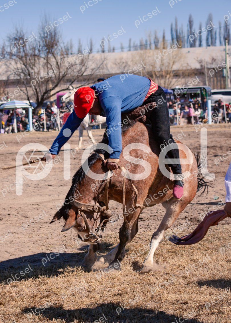 Photo of xlsb7rg0yrkvi29oc0fk6lyx