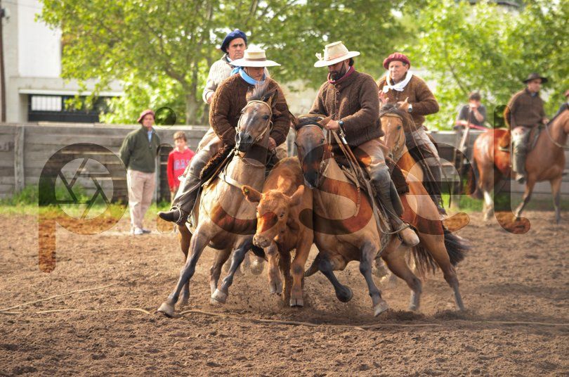 Photo of wyv1dae0gndv8807ymsvk602