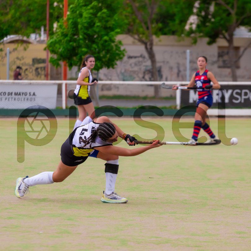 Photo of ac6s9hekp0hs1z66rbyakxx1