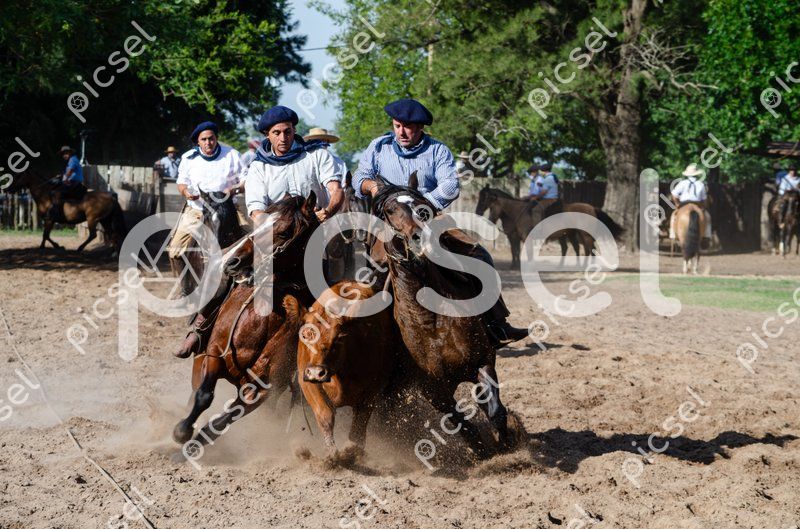 Photo of buf9v61iejrfjxibkchqm1c9