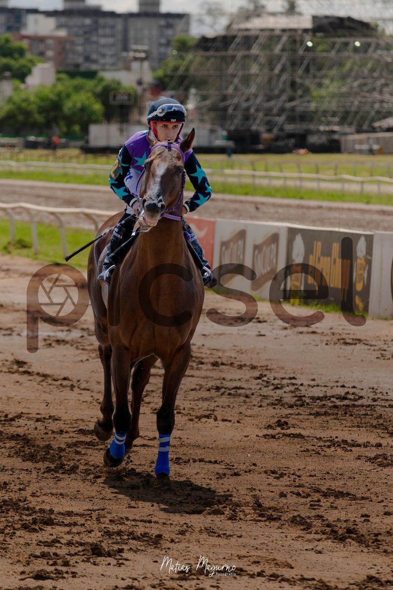 Photo of wqlegjqsqc65e4rhbbsxje5l