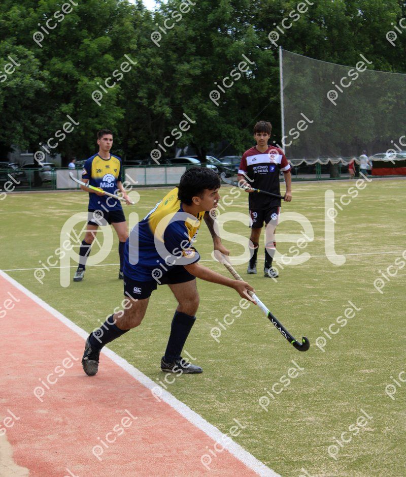 Photo of pet5isc3s65bkuftux3a1frz