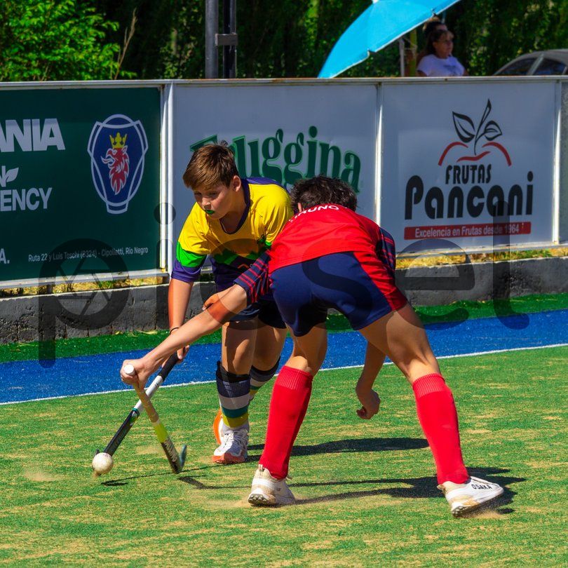 Photo of w6bruwkxvm8mf98zag2twk3n