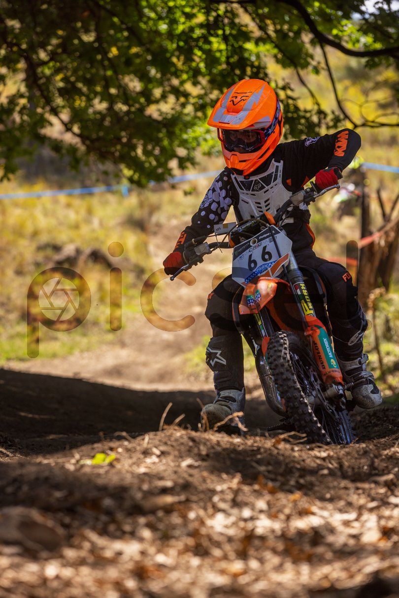 Photo of nl328m6s8bc9yjsz1q0a2voc