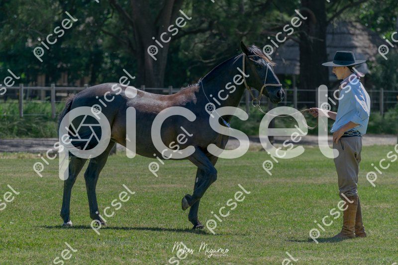 Photo of m333k8lu8chzovd3uh112i6p