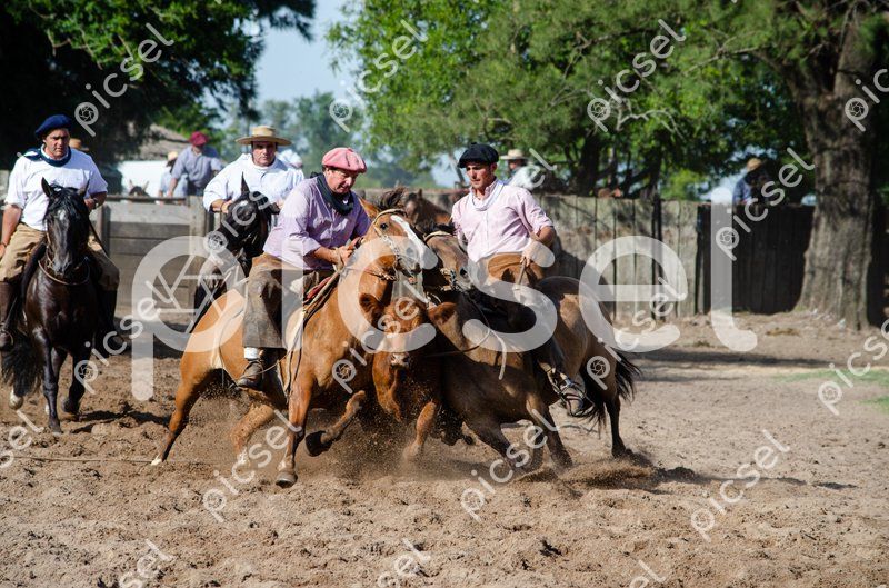 Photo of b3wv6agwtklamxz2cxdxg2sq