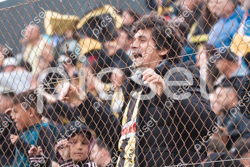 Photo of y13p8yplom9b03lg5cdpqjef