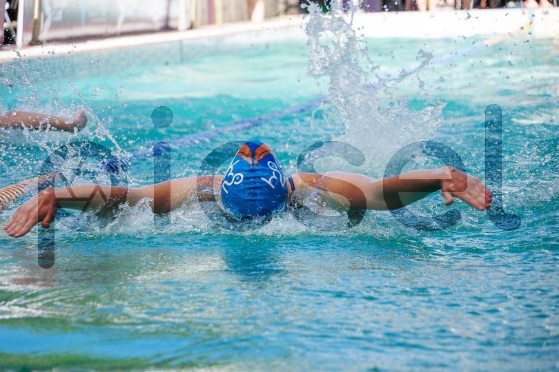 Photo of d8jbc0bcgw79ufsf1bi73h9y