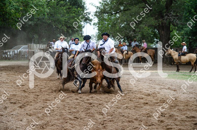 Photo of kg2vb2vtzm17msiw7ja28f8k