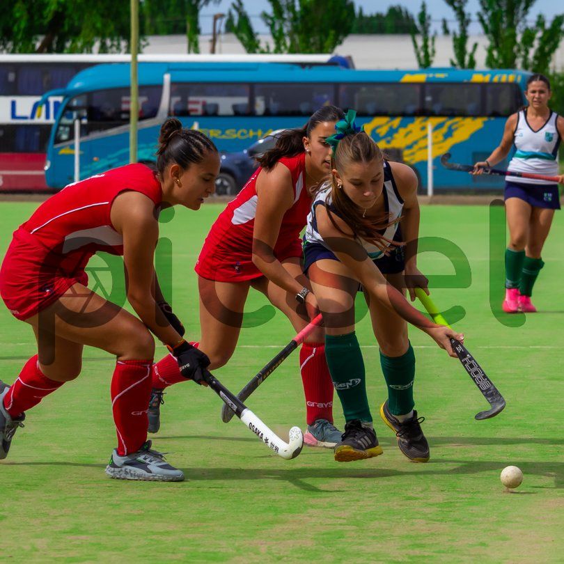 Photo of e1xz74amixfxgr2qcxe817jm