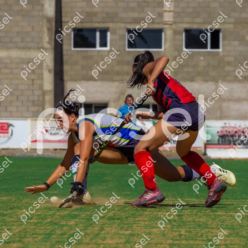 Photo of d1dvep693as6lnh8gsojr7m7