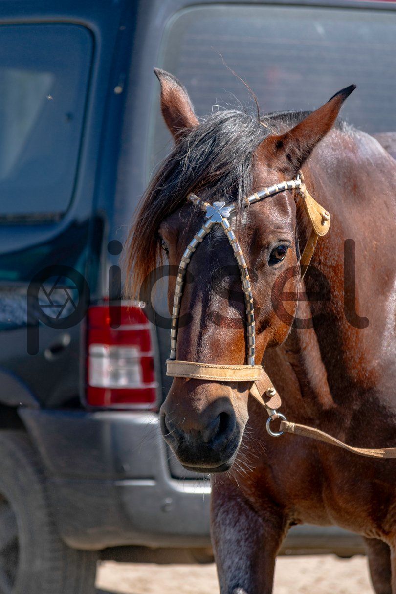 Photo of x8locff8iy5fuk5245u2wcv3