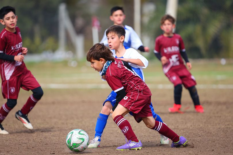 8va Octava División