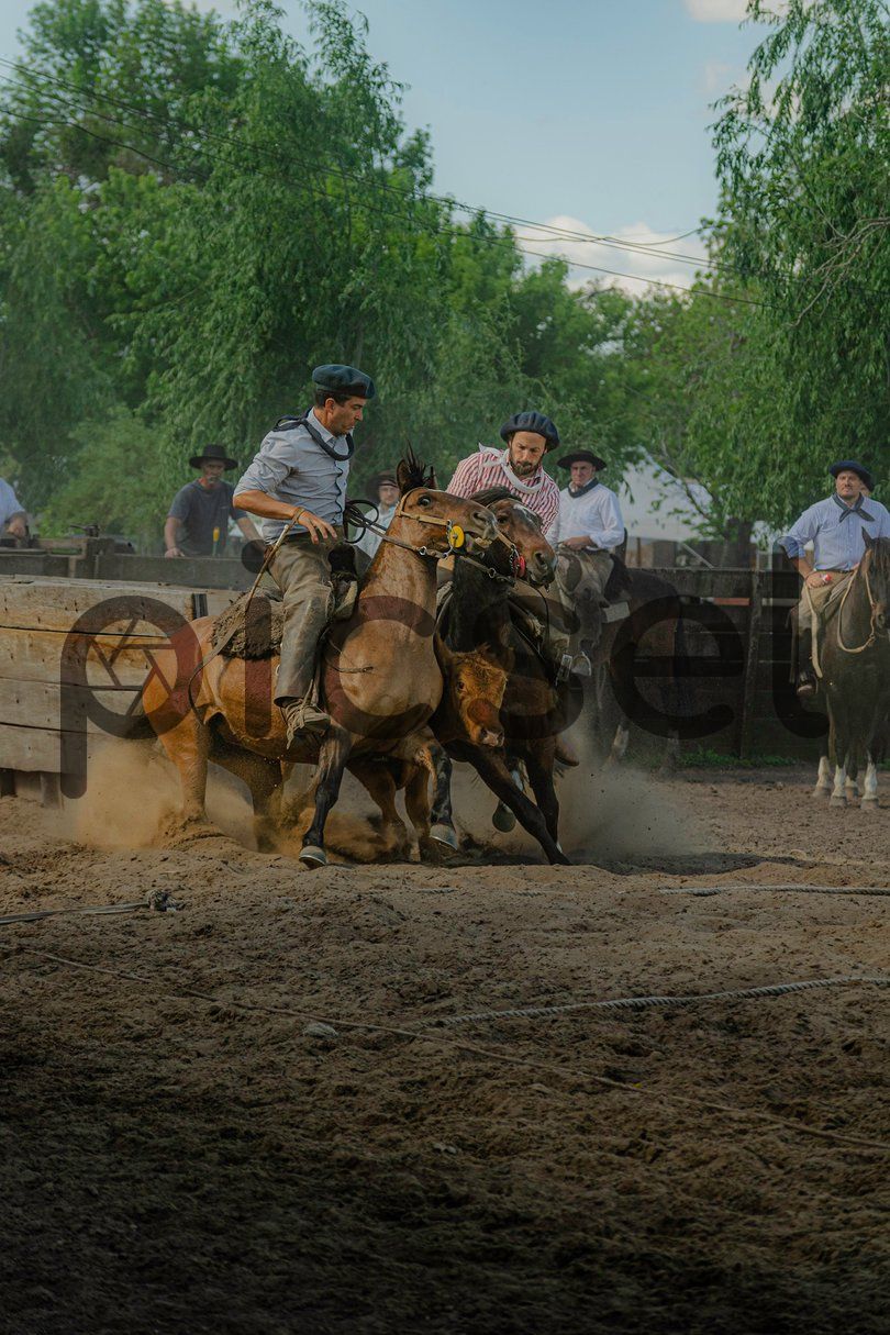 Photo of w8l3uxmtmjuvpqmu2hu12mw9