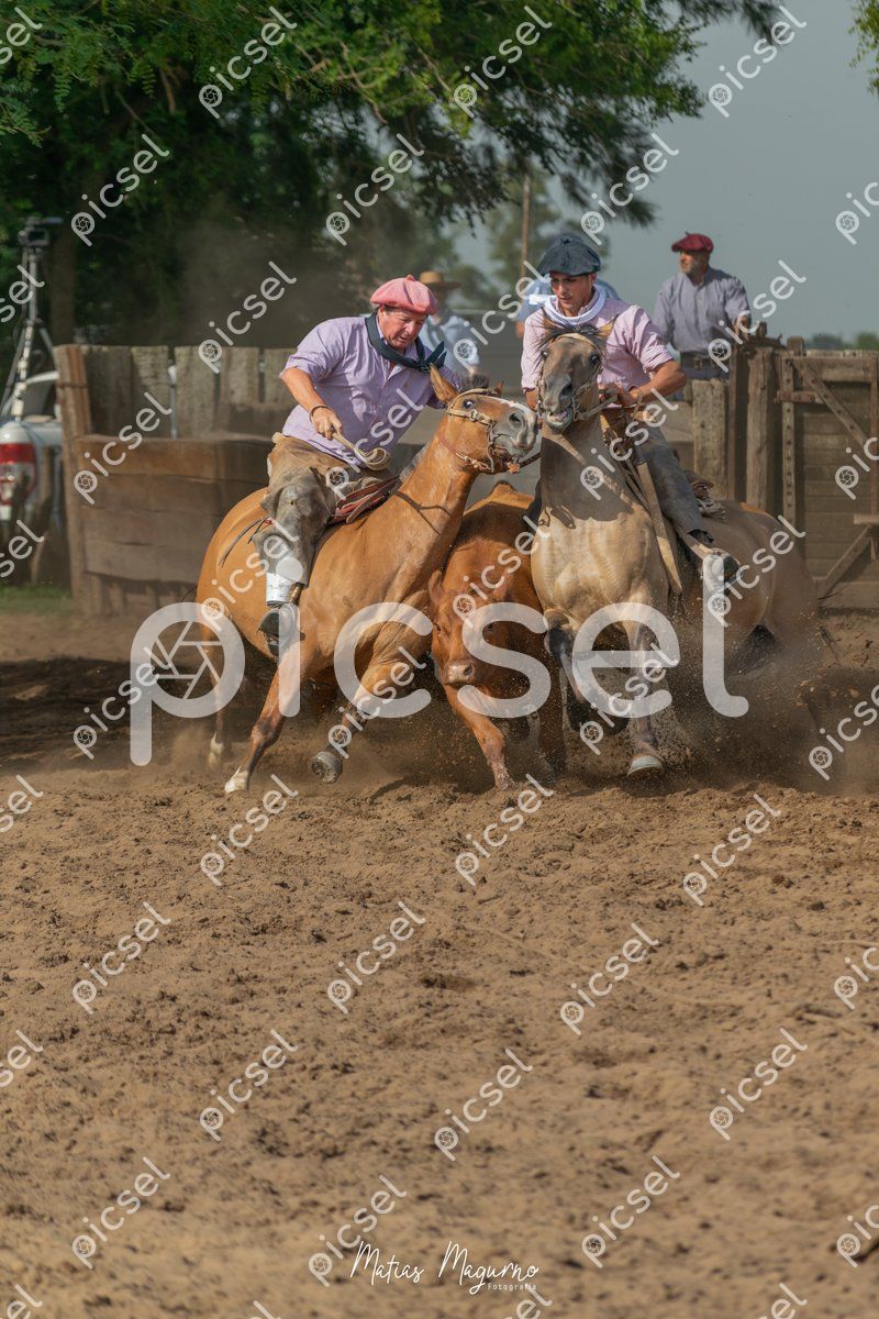 Photo of ky8qjxqodcw3ud8atqttsj3r