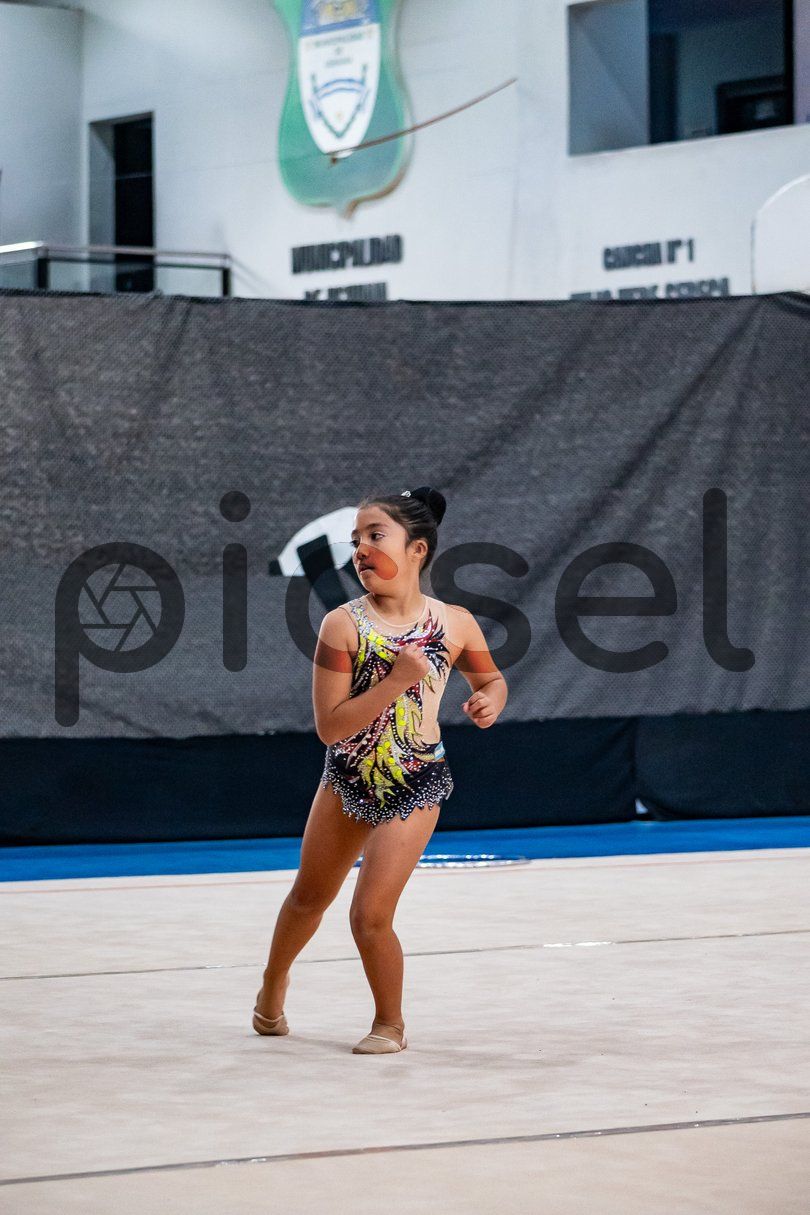 Photo of g0u5vu6jrrcy6fg2dhwl1wlk