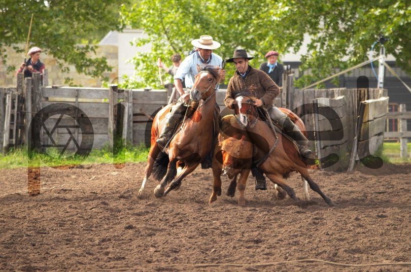 Photo of asyfwp42uv2egfvti0g8xaa2