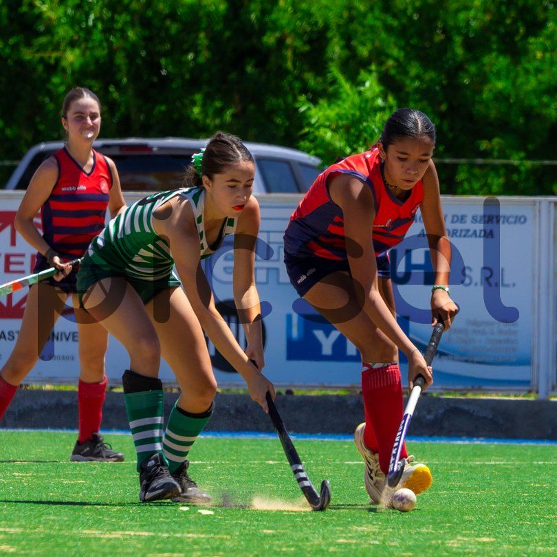 Photo of y64scuumiud457kltyw01vls