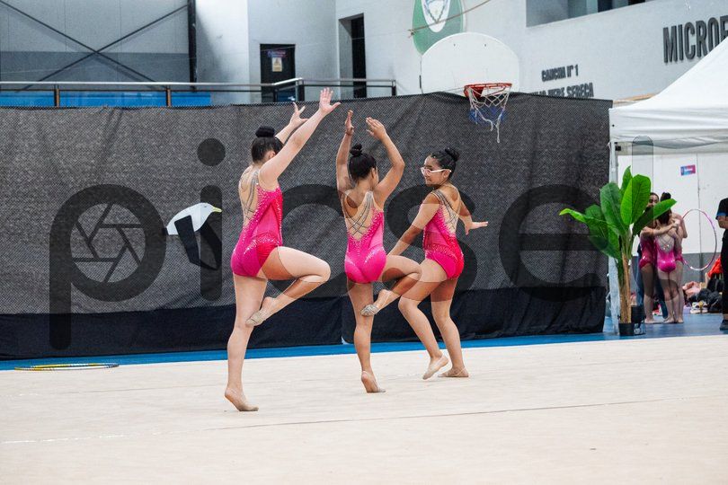 Photo of t6a37x5e2wi9q3elymtcvb4h