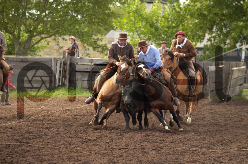 Photo of fovtp4ig7hgvxy25vcqxlg1t