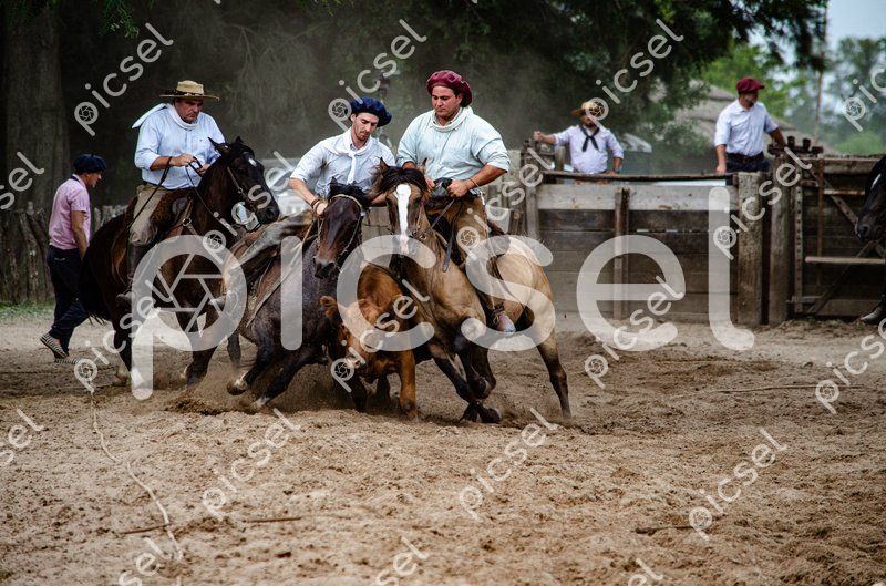 Photo of bjfqhsvk2fx0uk0mzwopyxnu