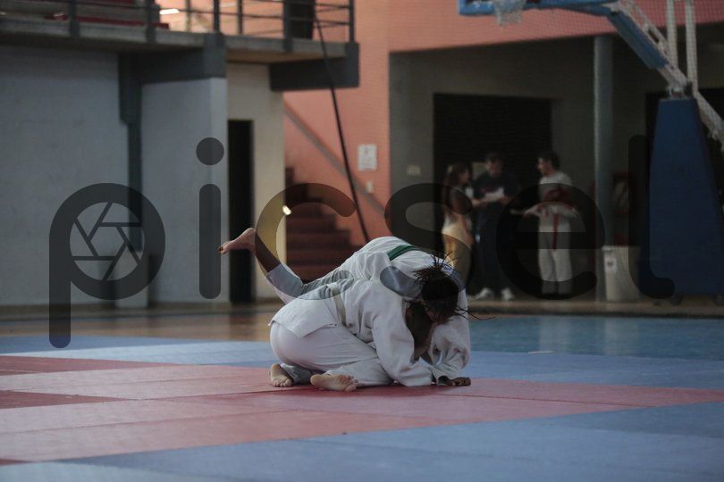 Photo of o88sat3dg8fz3imkuriekdrq