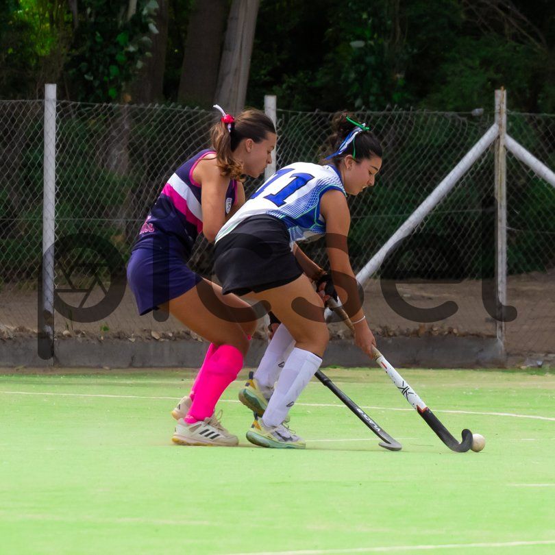 Photo of qdllm44vn0issbrkzdy0cvh7