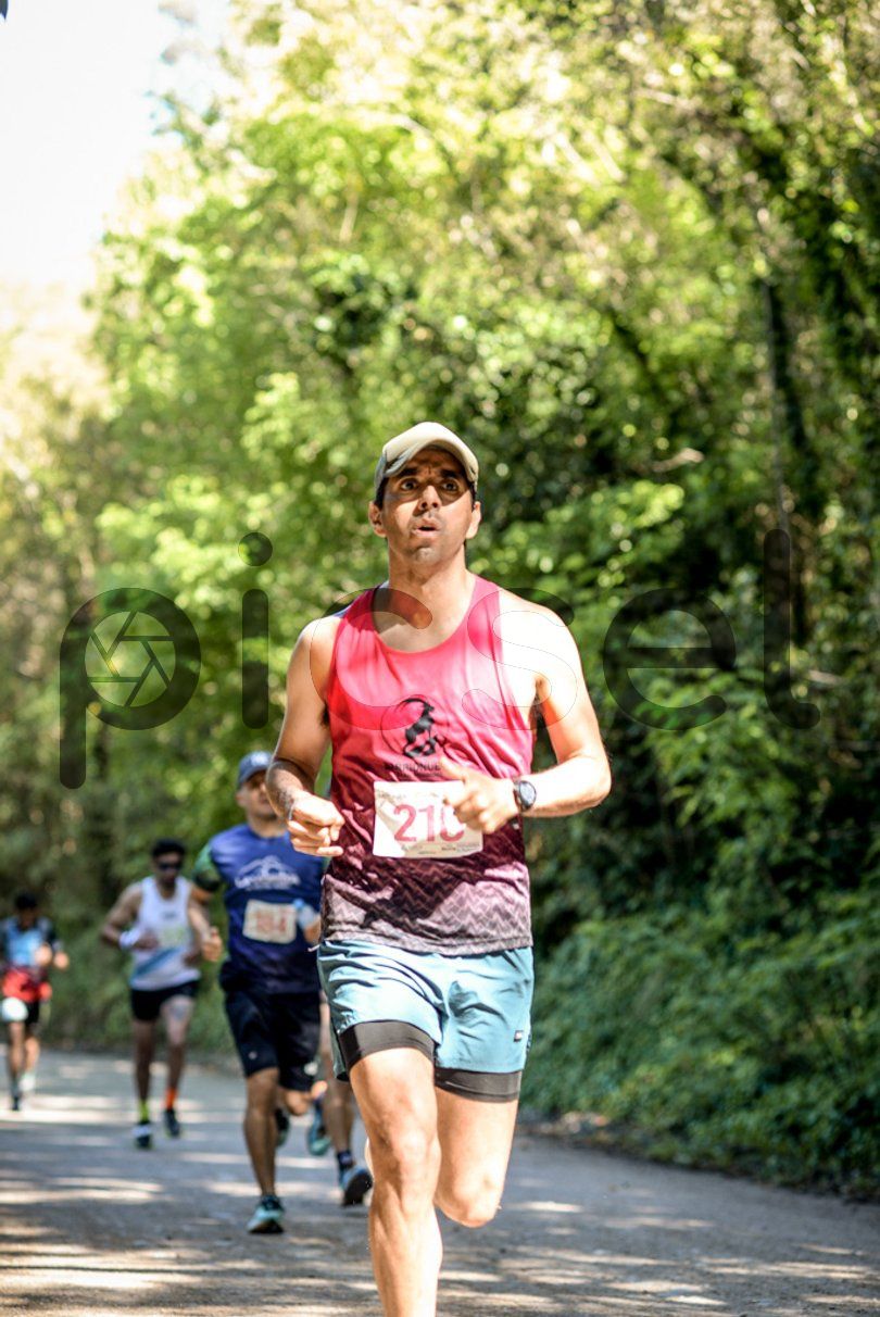 Photo of m2oturryjcibi99r6lgan6a4