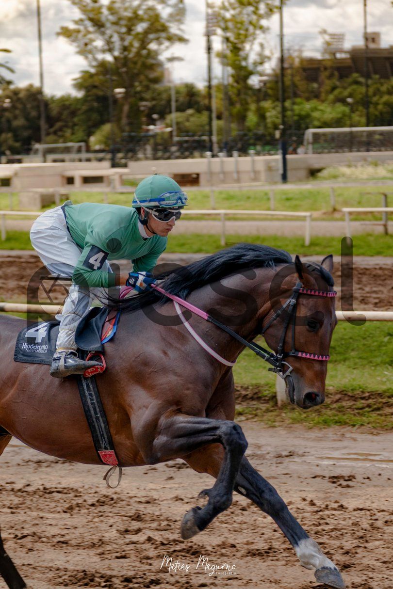 Photo of vi7bivovu4l1td66fy7oaicb