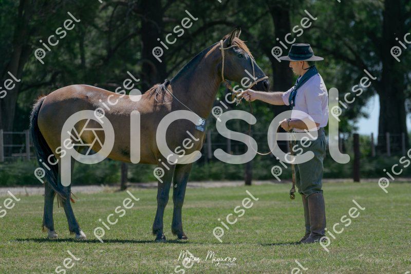 Photo of nxjkku2qcjl818mu7ra31baf