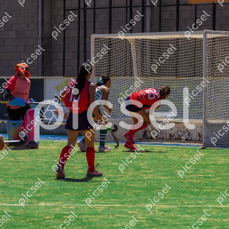 Photo of ffriacj2bed28cw1o4okp5q3