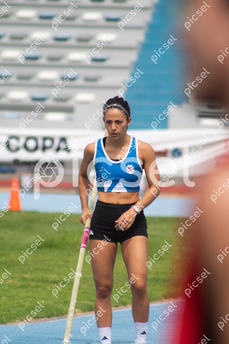 Photo of qgof66i8c12sno2391y029o8