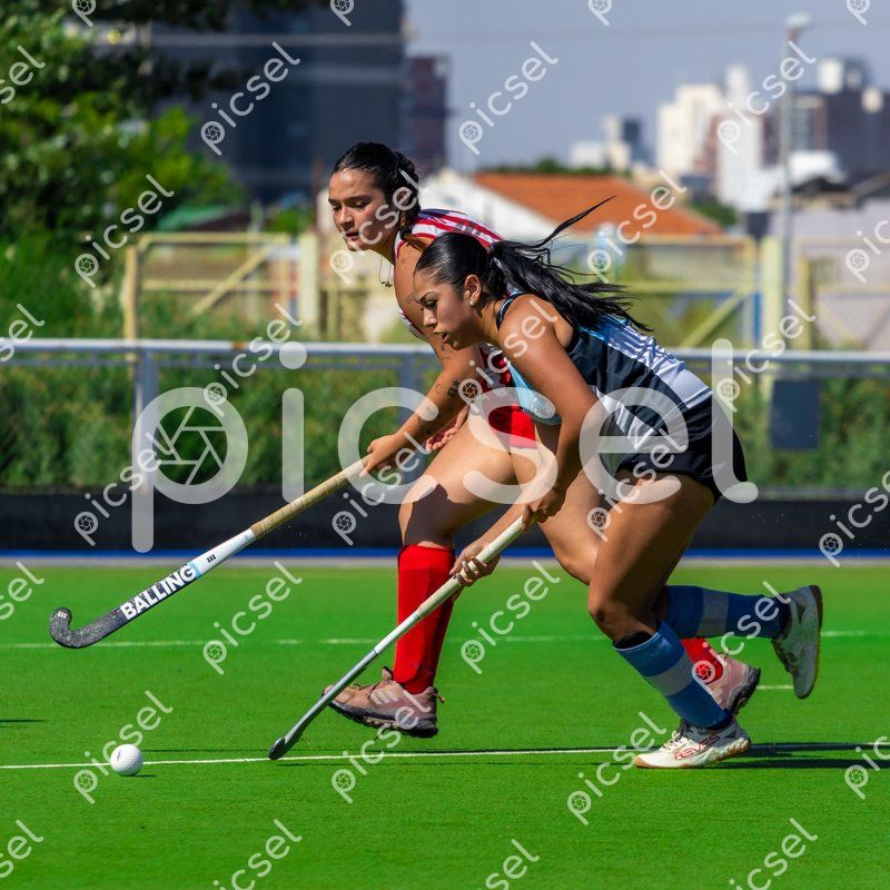 Photo of xk1ri6kdjr6km3n1x87zcd40