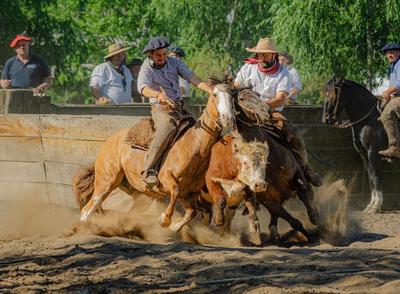 Rodeos • Expo rodeos • 