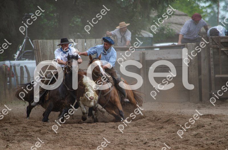 Photo of zrl10ibd6qkmhdz1umxirrrl