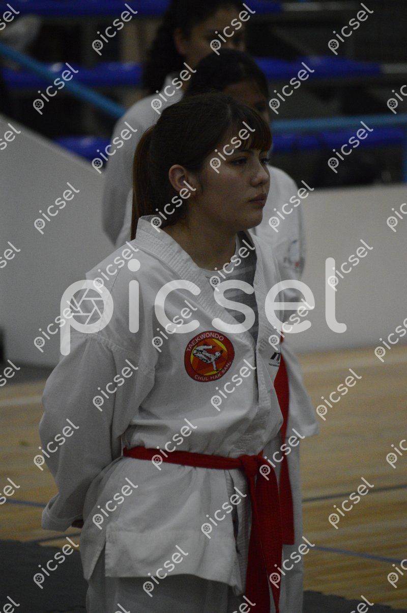 Photo of nqdwngfixmc0hy9rodf08jl3