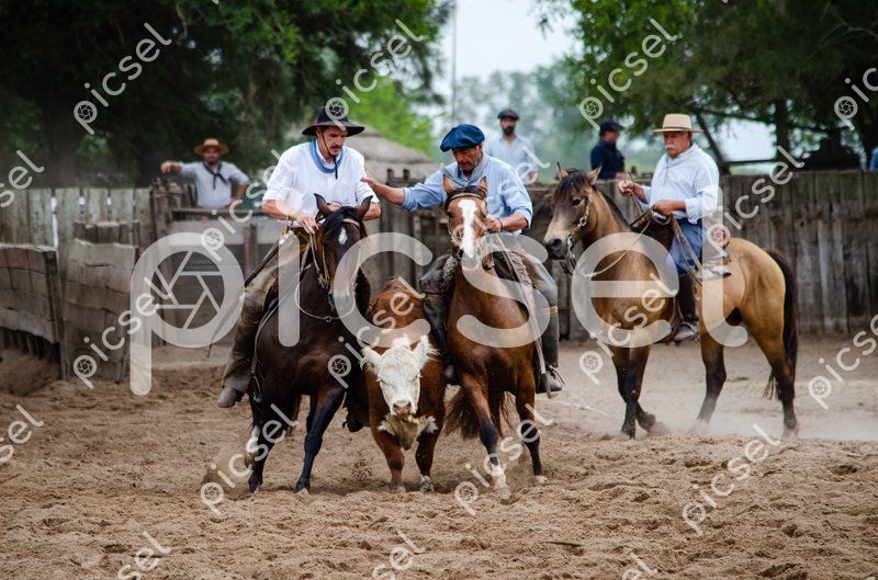 Photo of dnse9y9ayy21rsgumjp0tmpp