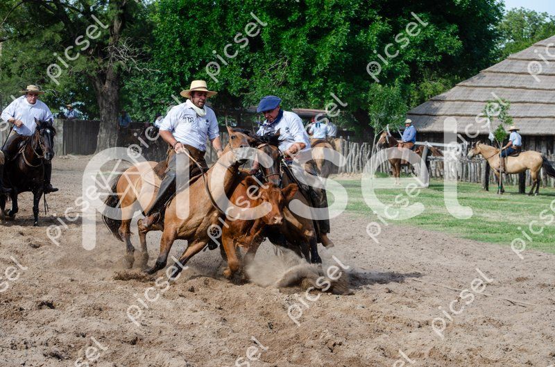 Photo of errsei89b68d44r8yddgnqid