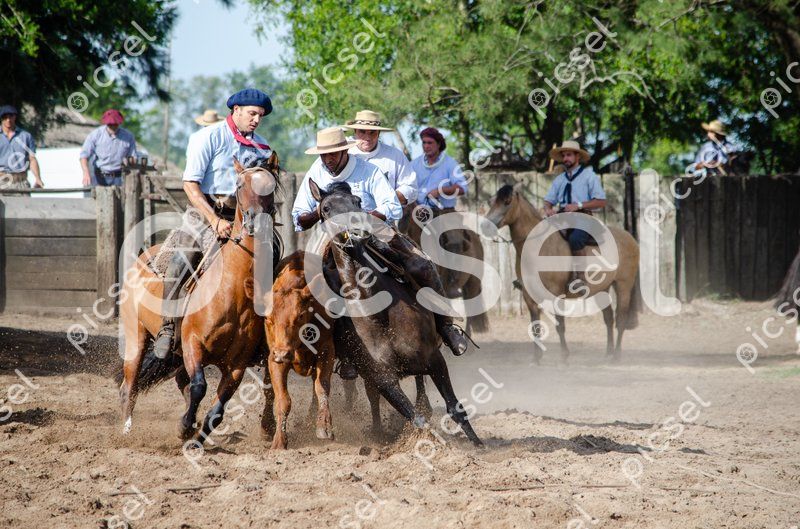 Photo of t9y0iqz45sz0m4ekzkvrf8dl