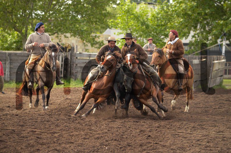 Photo of ddd67nedhi0w7hecwg9rm1q3