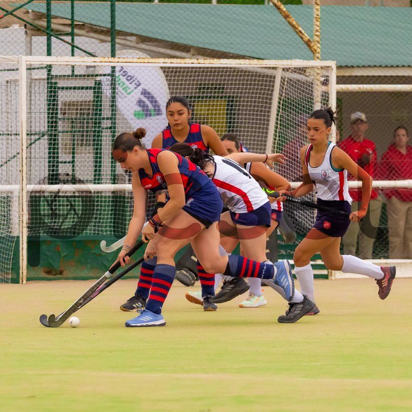 Photo of xv7qyupg51f0mfv7m0qyjq7g