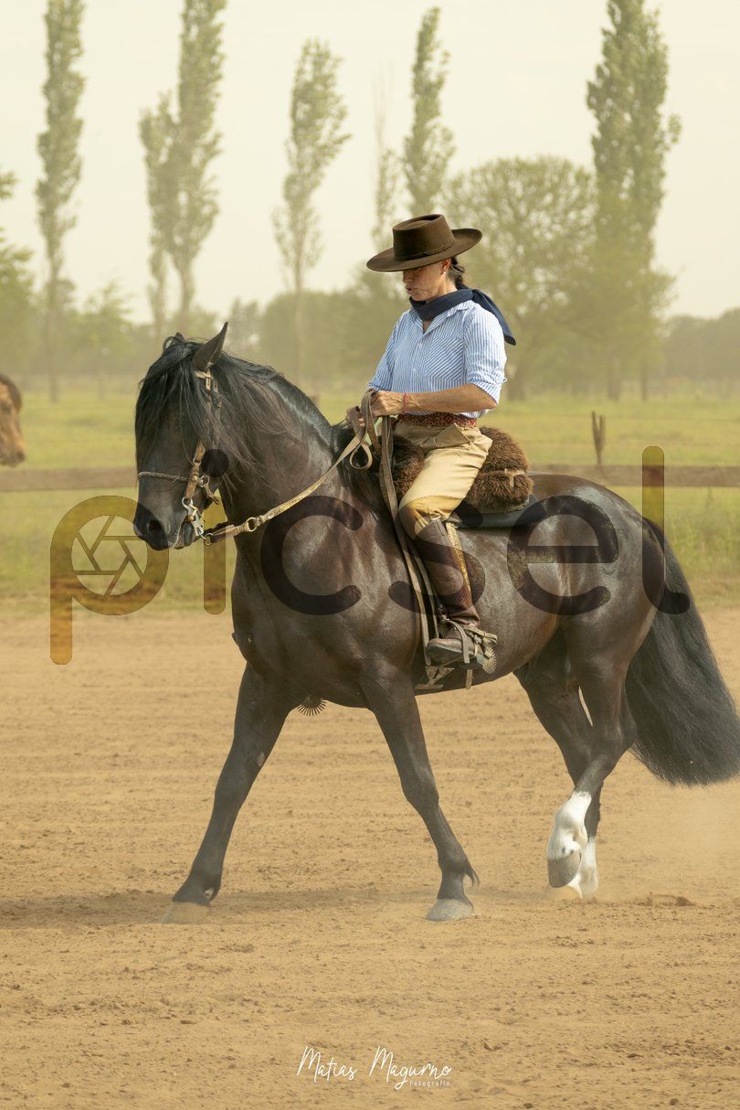 Photo of se4qaoo7haowrt0jpsj0mmno