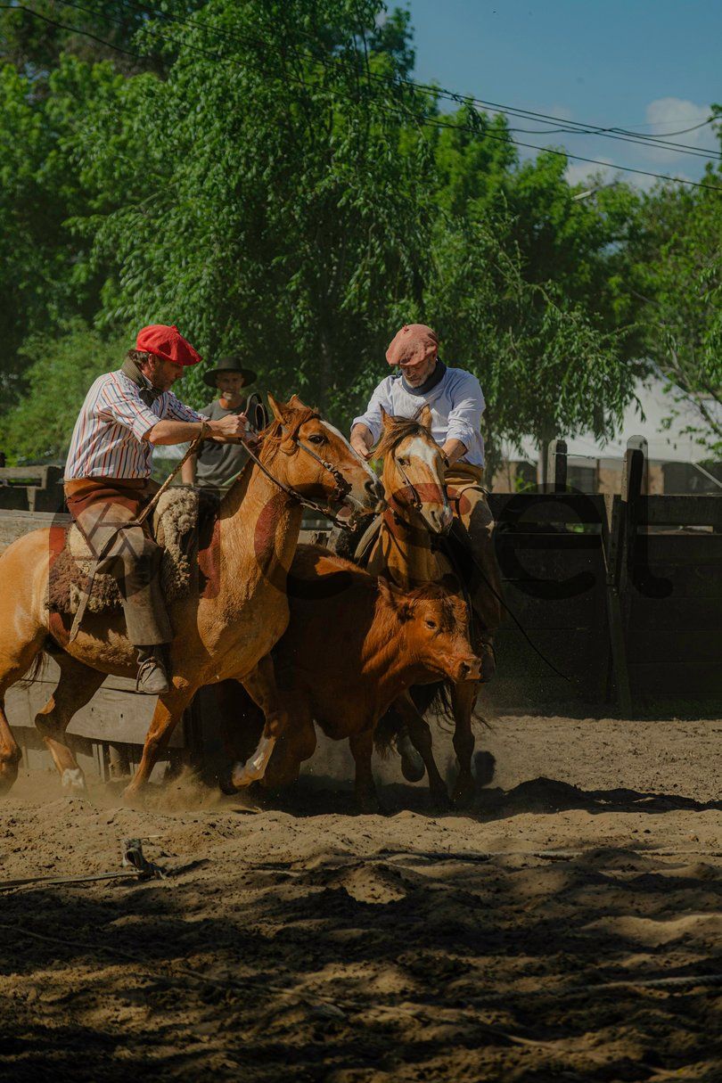 Photo of ejgq3lfynwnbinzd04hiao1a