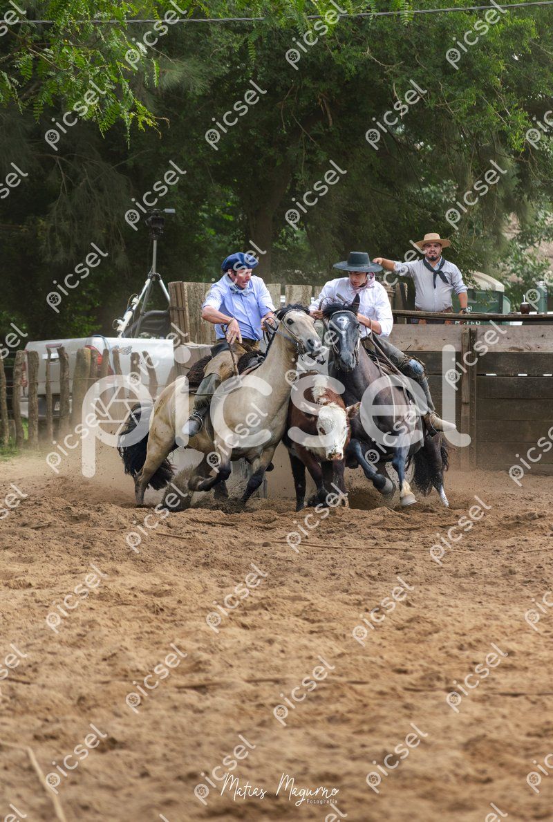 Photo of h4zqfpooovf9yhe6yuid5wv0