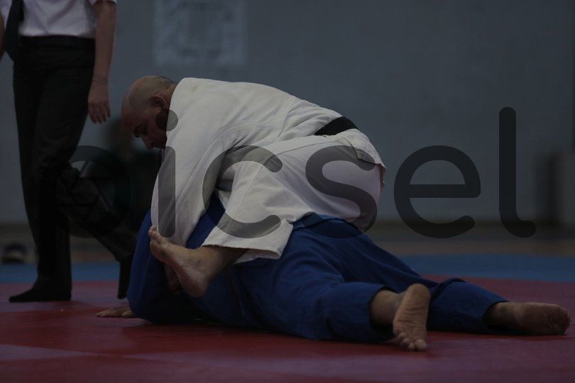 Photo of b3m5t2n82luti4glfsudwlaj